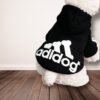 Sudadera Con Capucha De Schnauzer - Diseño Para Amantes De Perros Schnauzer