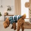 Camisa a cuadros para perro